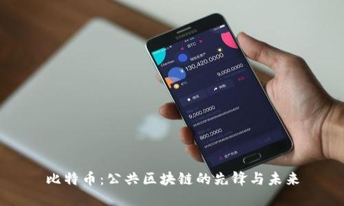 比特币：公共区块链的先锋与未来