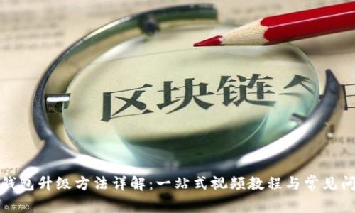 小狐狸钱包升级方法详解：一站式视频教程与常见问题解答